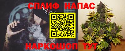 стафф Бийск